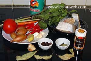 Bahan Pindang Patin