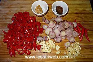 Bahan Sambal Bajak Iris