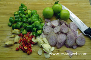 Bumbu Iris Oseng Tempe