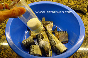 Ikan Tenggri Digarami