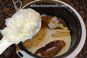 Nasi Gurih Rice Cooker