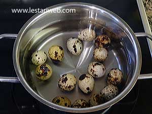Telur Puyuh Direbus
