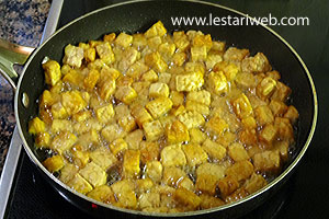 Tempe Setengah Matang
