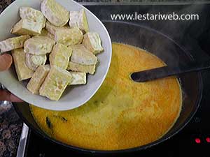 Tempe Untuk Kare Jawa