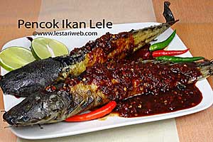 Pencok Ikan Lele