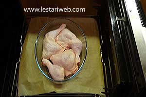 Ayam Dipanggang Sebentar