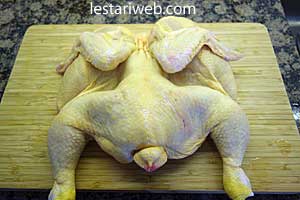 foto ayam utuh dibelah