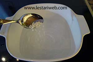 larutan garam untuk merendam ayam