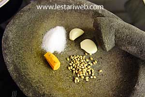 bahan bumbu ayam goreng ketumbar