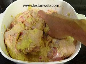 Ayam Tangkap Campur Bumbu