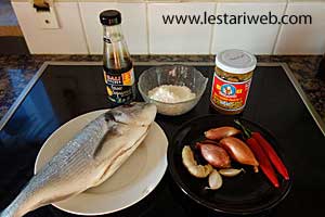 Bahan Ikan Coan-Coan