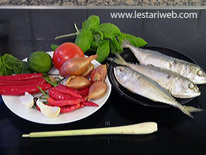 Bahan Ikan Garo Rica