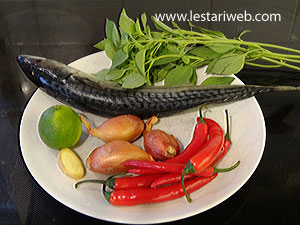 Bahan Ikan Saus Rica