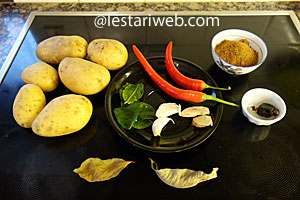 Bahan Kering Kentang