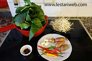 Oseng-Oseng Bayam Taoge