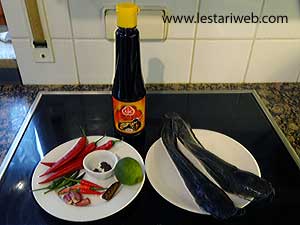 Bahan Pencok Ikan Lele