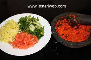 Bahan Racikan Sepat Ayam