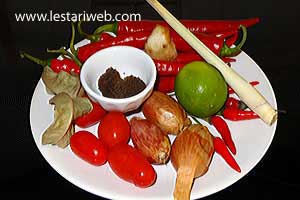 Bahan Sambal Ayam Goreng