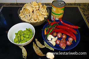 Bahan Sambal Goreng Krecek