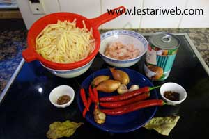 Bahan Sambal Goreng Krecek