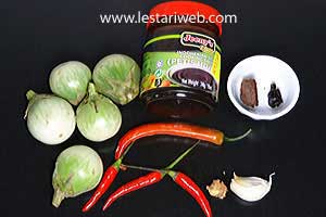 Bahan Sambal Terong Petis