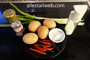 Bahan Telur Dadar Pedas
