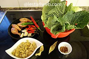 Bahan Tumis Daun Pepaya Teri