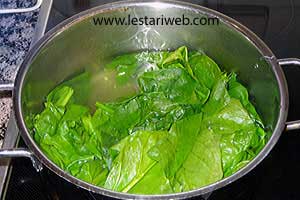 Bayam Ulang Ulang Campur