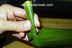 Bentuk Samping Lontong