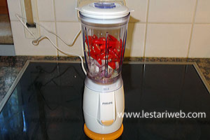 Bumbu Ayam Paniki Diblender