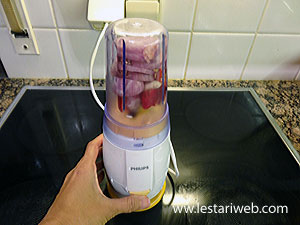 Bumbu Gongso Diblender