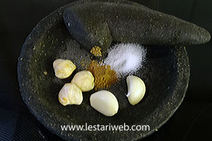 Bumbu Pencelup Tahu Berontak