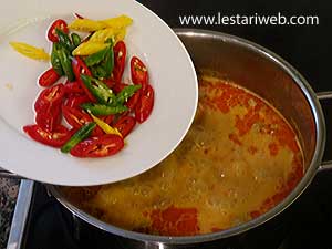 Cabe Iris Untuk Mezubi