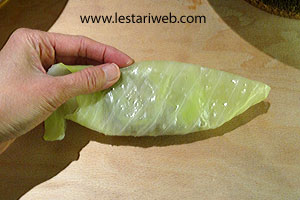 Cara Membungkus Brengkes