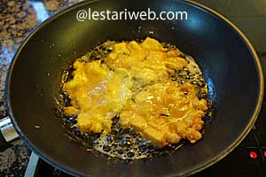 Membuat Dadar Tahu Step 10