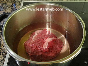 Daging Sayur Lelawar