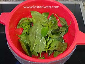 Daun Kemangi Untuk Sambal