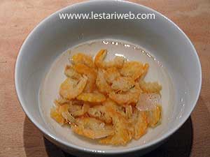 Ebi Untuk Selada Bangka