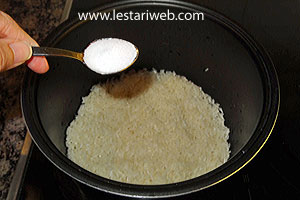 Garam Untuk Nasi Gurih