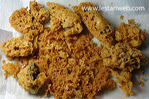 Gorengan Ayam Kremes  