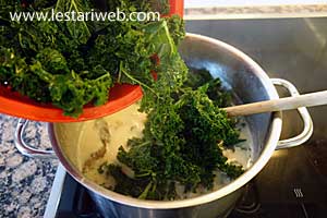 Gudeg Daun Singkong Step 14