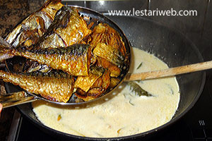 Ikan Dimasak Bumbu Tauco