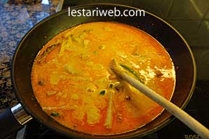 Katupek Sayua Step 11