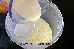 Kelapa Kering Campur Santan