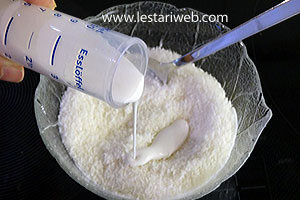 Kelapa Kering Dicampur Santan