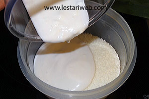 Kelapa Kering Santan