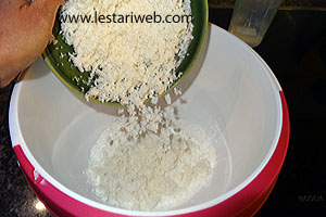 Kelapa Parut Wingko Babat