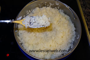 Ketan Setengah Matang