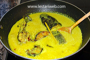 Ketupat Kandangan Matang