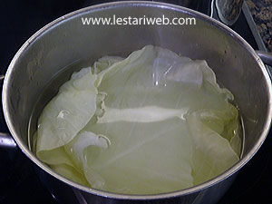 Kol Pembungkus Siomay